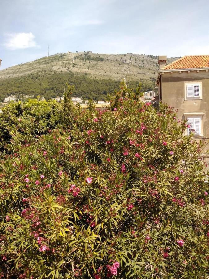 Joy Apartments Old Town Dubrovnik Kültér fotó